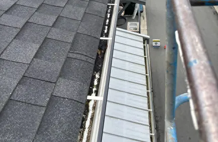 Gutter Cleaning