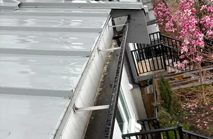 Gutter Cleaning