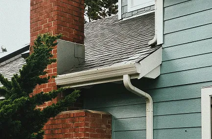 Gutter Cleaning